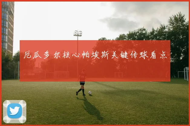 厄瓜多尔核心帕埃斯关键传球看点