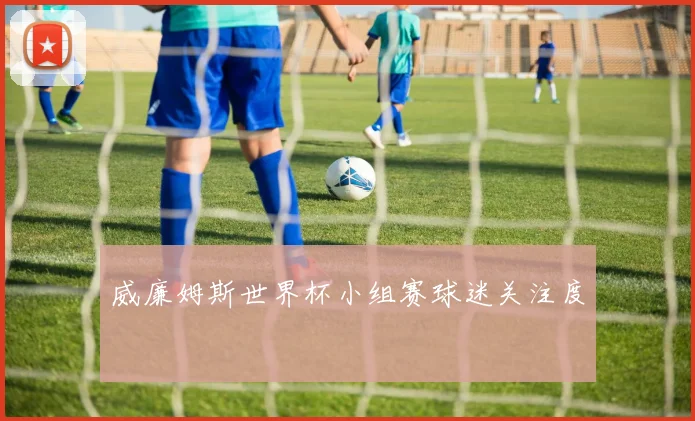 威廉姆斯世界杯小组赛球迷关注度