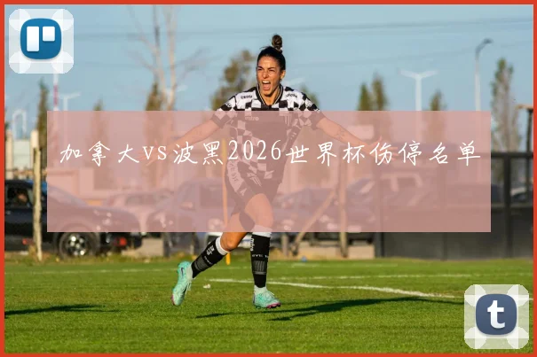 加拿大vs波黑2026世界杯伤停名单