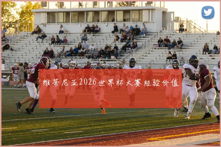 维蒂尼亚2026世界杯大赛经验价值