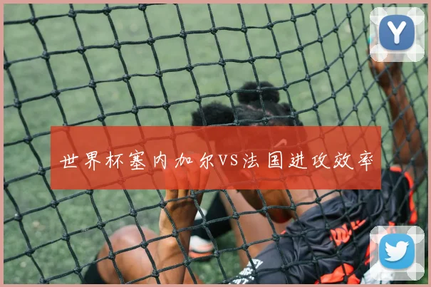 世界杯塞内加尔vs法国进攻效率
