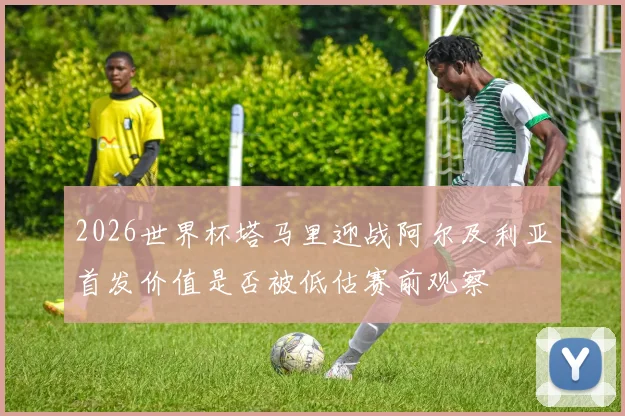 2026世界杯塔马里迎战阿尔及利亚首发价值是否被低估赛前观察